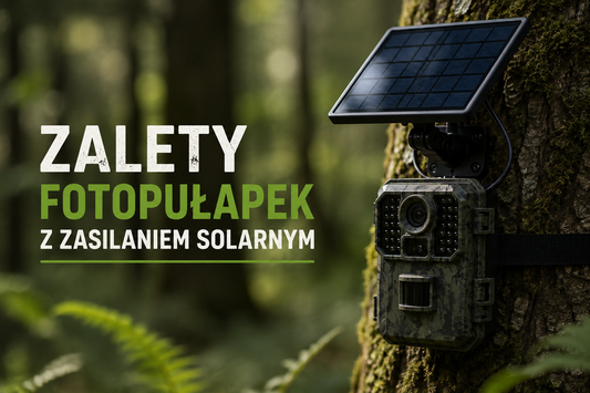 Fotopułapka solarna – zalety, działanie i zastosowanie